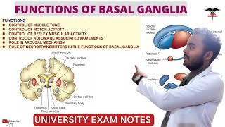 Functions of Basal Ganglia Connection of Basal Ganglia  CNS Physiology [upl. by Odilia]