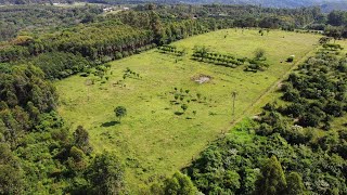 Área de Terras Campo Grande  Venda Imóveis Portão [upl. by Assina]