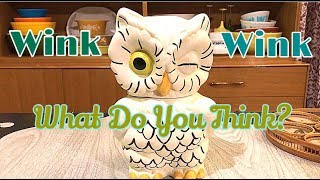 Goodwill Thrift Haul  Mr Winkers Home Decor Things To Resell [upl. by Aneeled429]