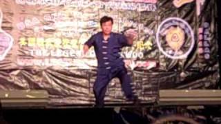 Choy Lay Fut  Hon Jerng Lin Wan Kuen Sifu Sam Ng  Legends of Kung Fu 2010 Masters Demo [upl. by Annahavas]