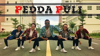 Pedda Puli  Nithiin Megha Akash  Santosh Choreography [upl. by Anaihk]