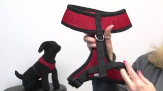 Casual Canine Mesh Harness  Red [upl. by Gniliem455]