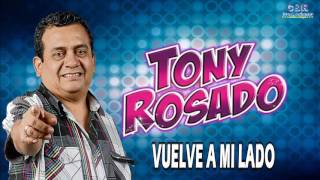 TONY ROSADO  VUELVE A MI LADO [upl. by Gale]