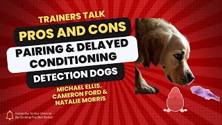 Pros and Cons of Pairing and Delayed Conditioning in Detection and Nosework Dogs [upl. by Bette-Ann]