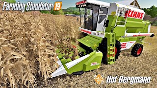 CLAAS Conspeed 575 nowa przystawka  Hof Bergmann â† Farming Simulator 19 â† 78 ă‹ˇ Anton [upl. by Wincer]