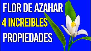 Flor de azahar 4 increíbles propiedades beneficios y cómo prepararla [upl. by Ardene233]