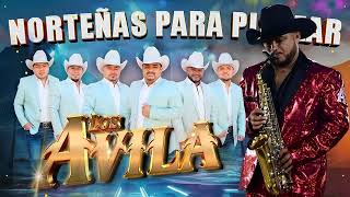 Éxitos Norteñas de Los Ávila 🎧🔥 Las Mejores Canciones de Siempre 🎷 Mix para Pistear 2024 [upl. by Trenna]