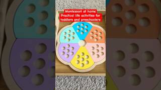 Quick setup practical life activities for toddlers and preschoolers [upl. by Biondo81]