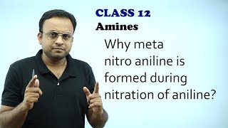 Why meta nitro aniline is formed during nitration of anilineNitrogen containing organic compounds [upl. by Atiraj137]