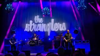 The stranglers live skin deep except halifax 2024 [upl. by Yssac]