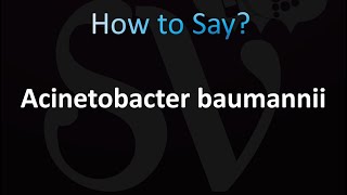 How to Pronounce Acinetobacter baumannii CORRECTLY [upl. by Manheim]