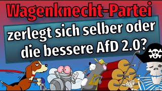 WagenknechtPartei zerlegt sich selber oder die bessere AfD 20  Meinungspirat [upl. by Razec]