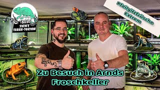 Pfeilgiftfrösche Extrem  Zu Besuch in Arnds Froschkeller Dendrobates tinctorius [upl. by Tubb312]