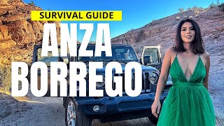 Surviving Anza Borrego Desert State Park 🚙 California [upl. by Adria717]