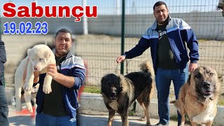 Sabunçu İT Bazarı 190223 [upl. by Elohc828]