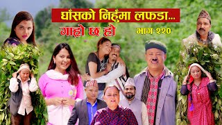 घाँसको निहुमा लफडा IIGaro Chha HoII Epi 220IISept 16 2024 IIBegam Sundari Nawina Binod Rajkumar [upl. by Ahsinnod]