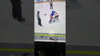 NHL 24 OTT VS NYR Fight [upl. by Ridgley676]