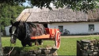 Muckross Traditional Farms Killarney County Kerry Ireland [upl. by Marquardt]