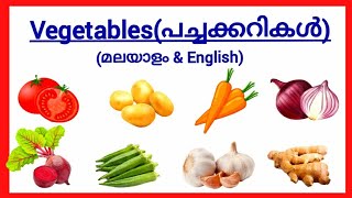 Vegetables for kidsVegetables name in malayalam and englishപച്ചക്കറികൾvegetables in malayalam [upl. by Dyann652]