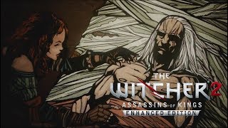 Witcher 2 animated memories and cutscenes [upl. by Imot]