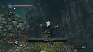 Obtaining Token of Fidelity and Pharros Lockstone in 20 seconds  Dark Souls 2 SOTFS [upl. by Mosera]