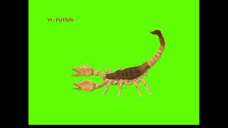 Green screen Scorpion Effect video free no copyright [upl. by Griz]