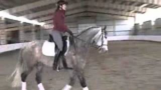 Lucinda Dressage Training Level Test 2 3132011 [upl. by Airdnaxela930]