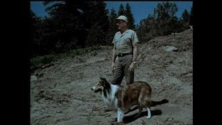 Lassie  Episode 454  quotThe Homelessquot  Season 14 Ep 7  10221967 [upl. by Ephram250]