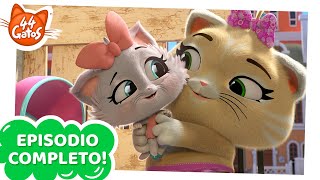 44 Gatos  Latinoamérica  Pilou cuida gatitos EPISODIO COMPLETO [upl. by Obed191]