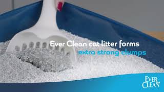 Discover Ever Clean at Pets at Home  Only £15 [upl. by Chak]