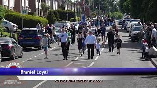 Braniel Loyal  North Down Defenders Parade 2024 [upl. by Ennaitak]