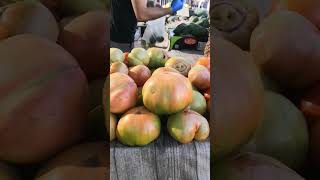 Fruit market in fuengorila Spain Tuesday 12 November 2024 [upl. by Attey]