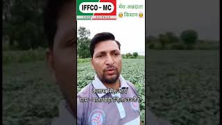 Iffco product result sagarika humetsu egao इफको के बेहतरीन उत्पाद सागरिका हुमेत्सु एगाओ [upl. by Giorgia]