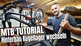 Kugellager am MTB Hinterbau wechseln  Mountainbike Tutorial  Specialized Stumpjumper [upl. by Lehsar316]