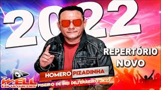 HOMERO PIZADINHA 2022  O REI DOS PAREDÃ•ES BOTANDO PRA QUEBRAR [upl. by Ambrose]