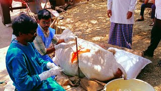 ondu mooku prani jeev ke belane illla doctors niralax ke rahitan sahu Ydagir Maranal Tanda [upl. by Abbub]