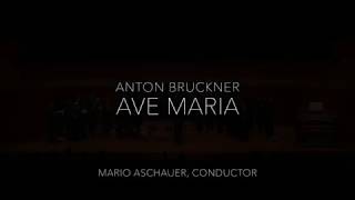 Bruckner Ave Maria [upl. by Kalin]