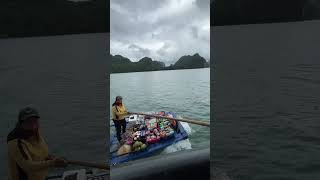 That is how to shop ha long bay Please subscribe for daily shorts [upl. by Nattie]