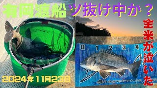 有岡渡船 １２カセ 業スーのむきあさりは釣れるのか？チャプターを設けていますので好きなところに飛んでください [upl. by Kennet]