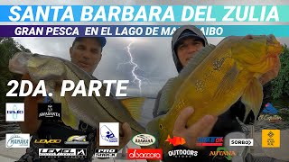 PESCA DE PAVÓN LAGO DE MARACAIBO segunda parteSANTA BARBARA DEL ZULIA [upl. by Ecinna726]