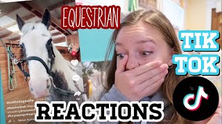 Reacting to Equestrian TikToks  Funny Fails Jumping Stereotypes [upl. by Marcello]