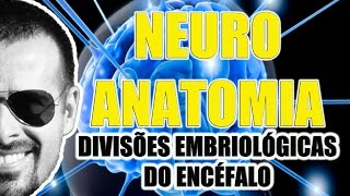 Divisões embriológicas do Encéfalo Sistema Nervoso Central  Neuroanatomia  VideoAula 070 [upl. by Aerdnuahs]