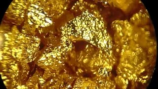 Gold Flakes Under Stereo Microscope 10x120x [upl. by Doreg]