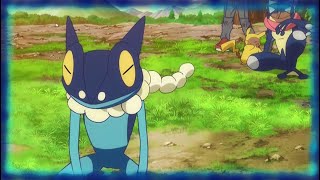 Froakie Evolve to Frogadier  Pokémon the Series XY  EP52  MRB Movieclips [upl. by Kcod]