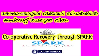 How to Update Cooperative Recovery in Spark [upl. by Ahsille]