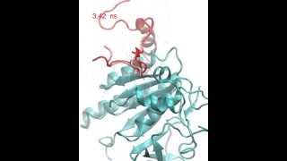 Molecular docking of RAD51BRCA2 BRC repeat complex [upl. by Aoh]