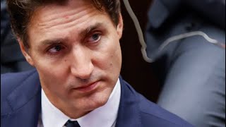 LILLEY UNLEASHED Does Trudeau get it People are done with him [upl. by Goldshlag985]