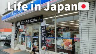 Vlog Daily life in Japan 🇯🇵 Grocery shopping at convenience stores LAWSON [upl. by Ahsikyt239]