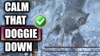 How To Easily Defeat The Gravetender Champion Duo Boss Fight In Dark Souls 3 Dlc [upl. by Darwin]