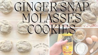 How to make cookies with molasses  Soft and Chewy Ginger Snap Recipe [upl. by Ahnavas]